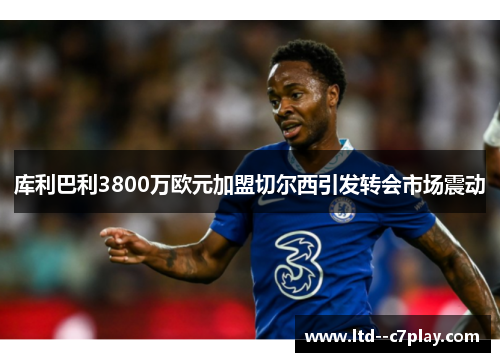 库利巴利3800万欧元加盟切尔西引发转会市场震动 库利巴利3800万欧元加盟切尔西引发转会市场震动
