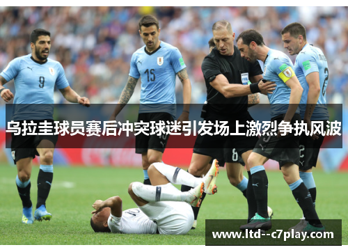 乌拉圭球员赛后冲突球迷引发场上激烈争执风波 乌拉圭球员赛后冲突球迷引发场上激烈争执风波