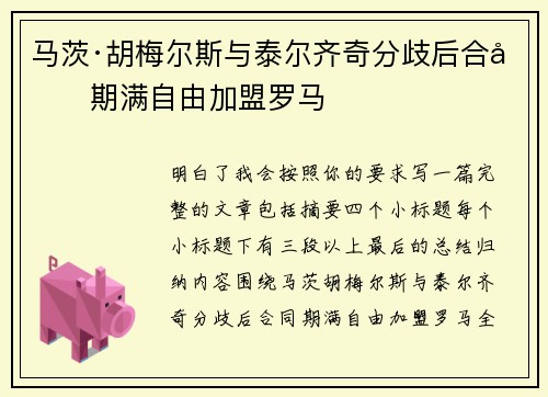 马茨·胡梅尔斯与泰尔齐奇分歧后合同期满自由加盟罗马 马茨·胡梅尔斯与泰尔齐奇分歧后合同期满自由加盟罗马